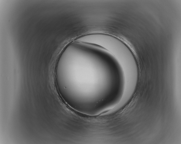 X0000112360385200908271257