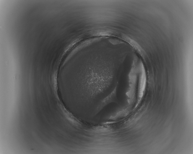 X0000112360386200908271257