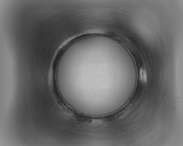 X0000112360388200908271257