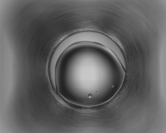 X0000112360389200908271257