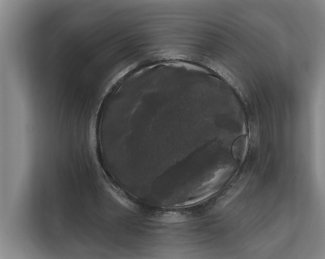 X0000112360390200908271257