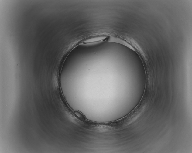 X0000112360393200908271257