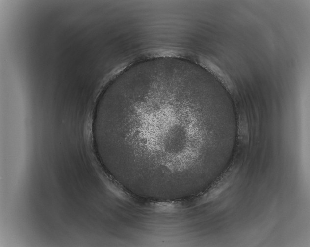 X0000112360394200908271257