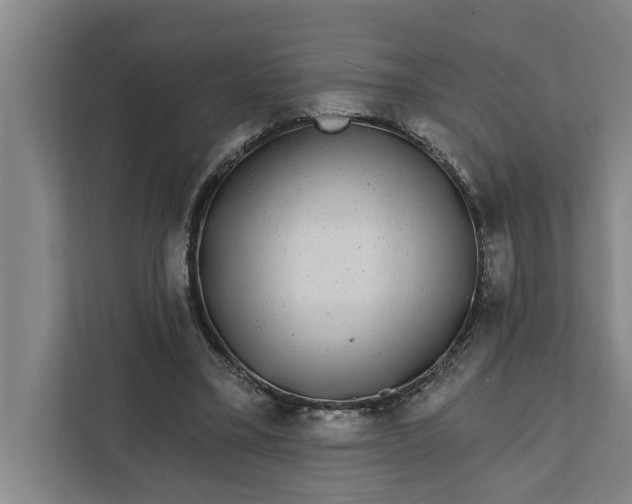 X0000112360395200908271257