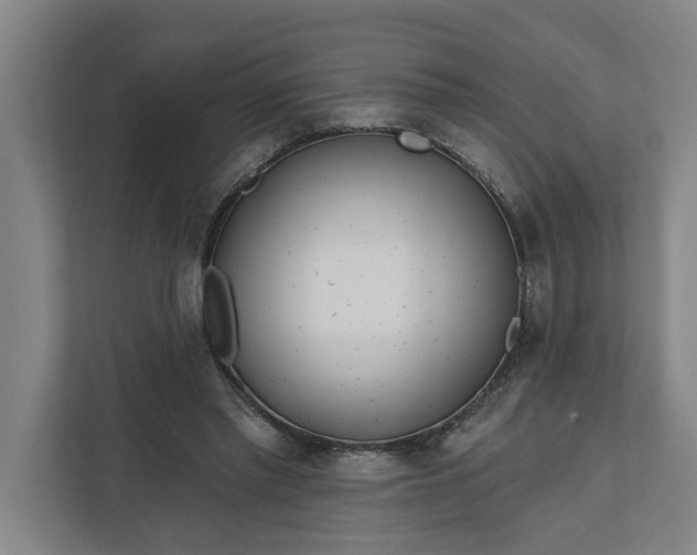 X0000112360397200908271257