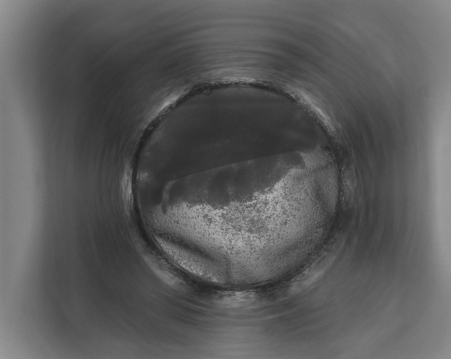 X0000112360398200908271257