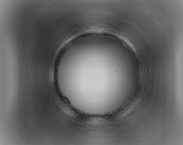 X0000112360399200908271257