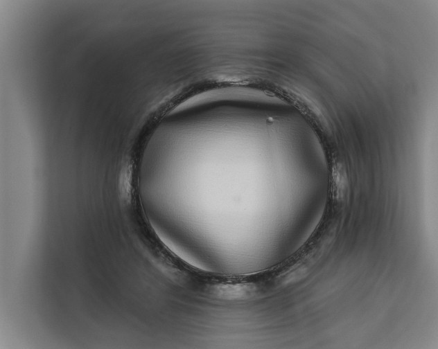 X0000112360404200908271257