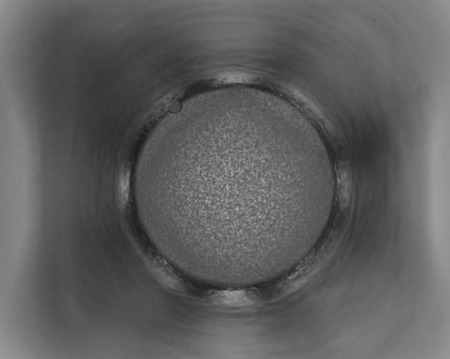 X0000112360406200908271257