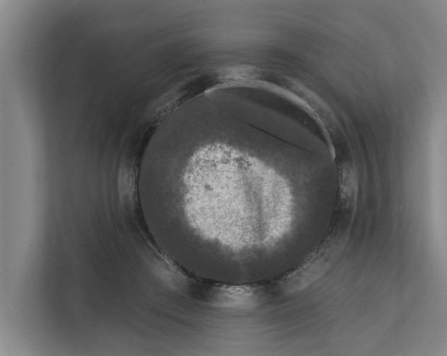 X0000112360409200908271257