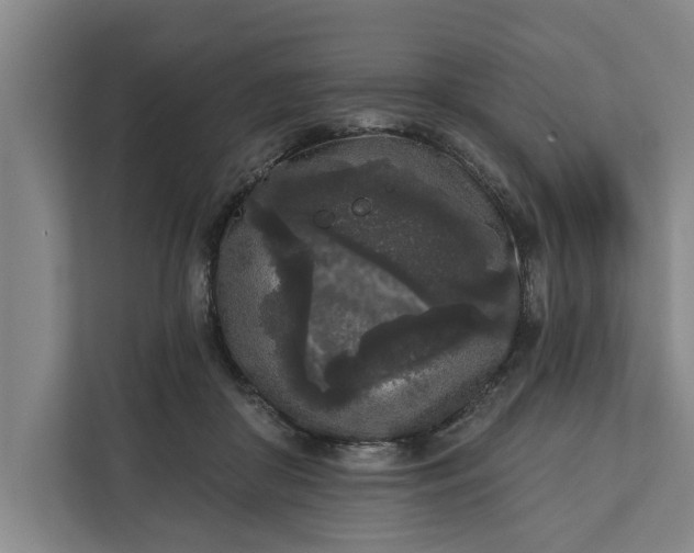 X0000112360410200908271257