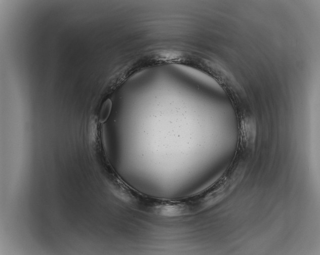 X0000112360412200908271257