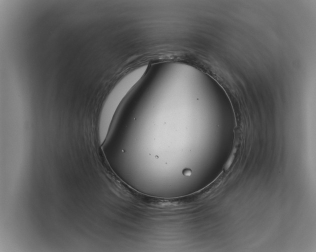 X0000112360413200908271257