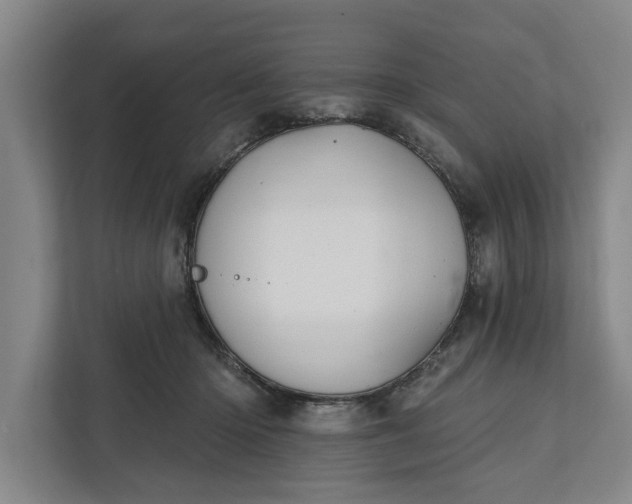 X0000112360414200908271257