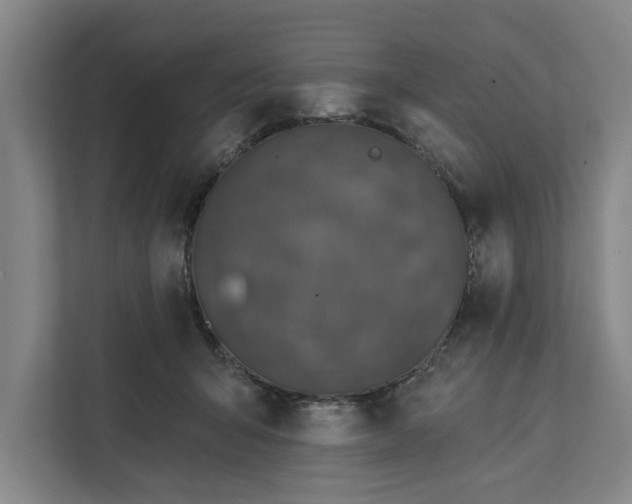 X0000112360415200908271257