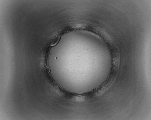 X0000112360416200908271257