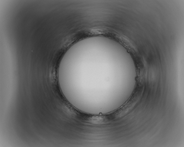 X0000112360418200908271257