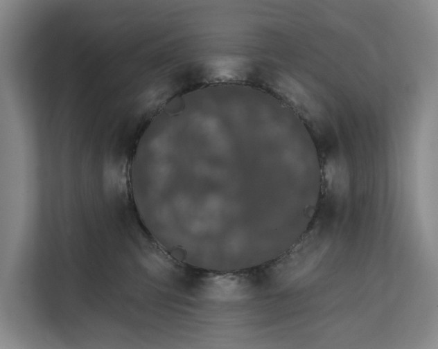 X0000112360423200908271257