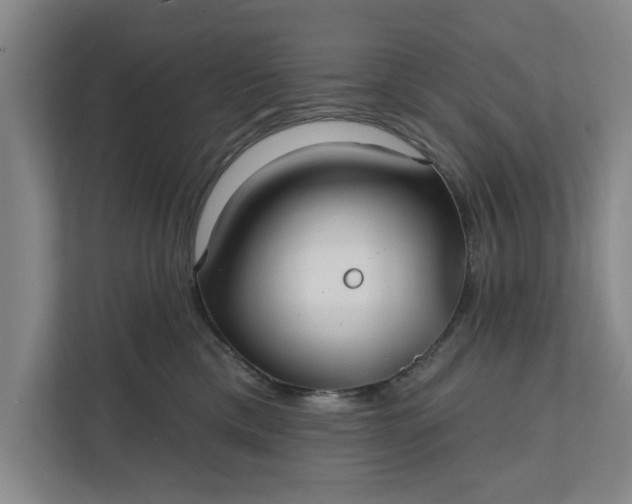 X0000112360425200908271257