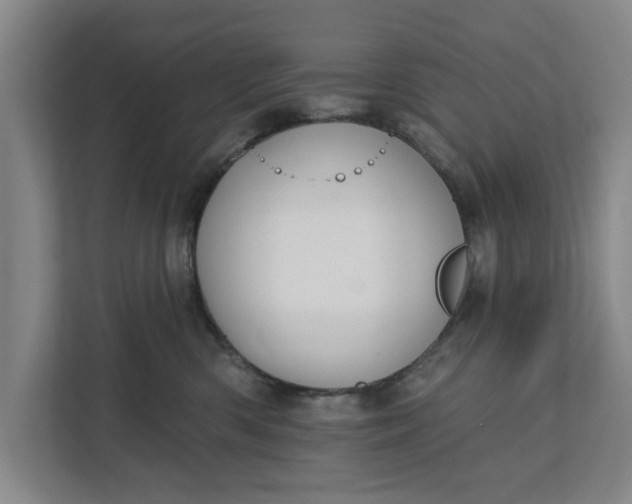 X0000112360426200908271257