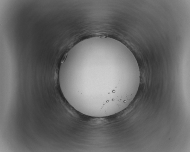 X0000112360427200908271257