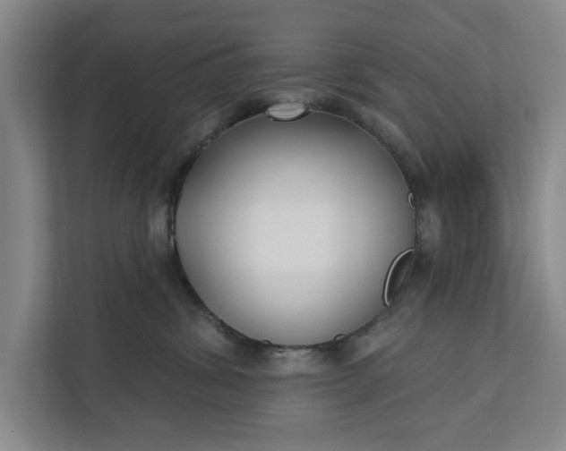 X0000112360428200908271257