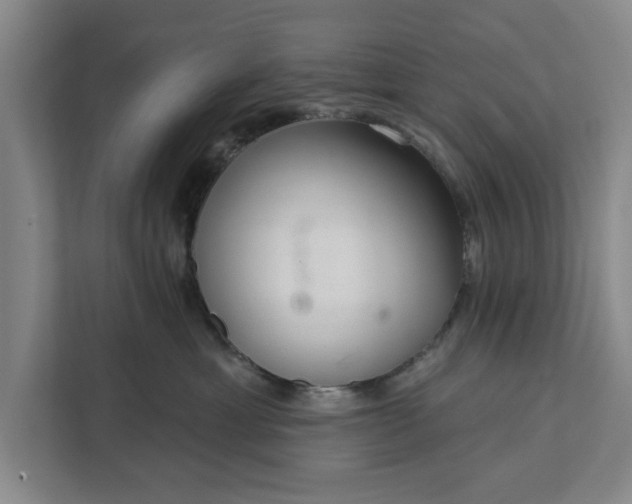 X0000112360429200908271257