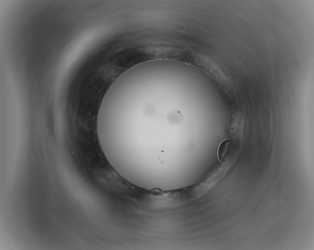 X0000112360430200908271257