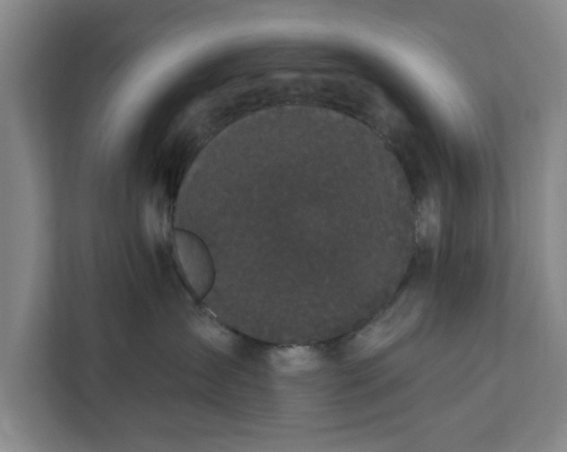 X0000112360431200908271257