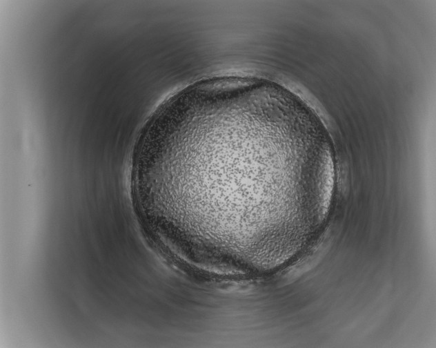 X0000112360434200908271256