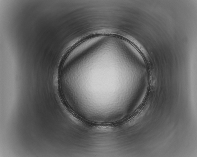 X0000112360437200908271256