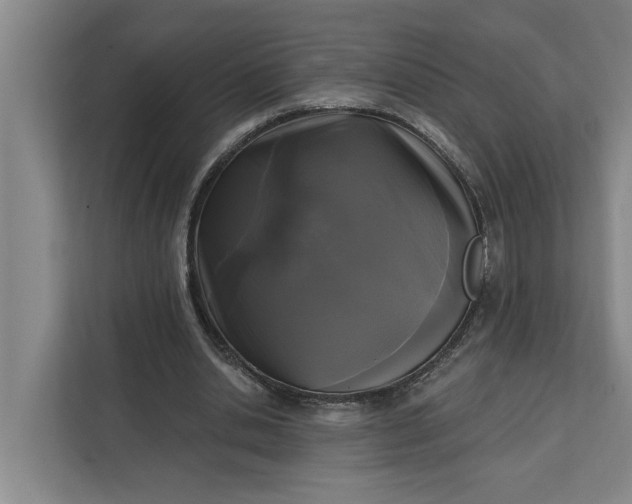 X0000112360438200908271256