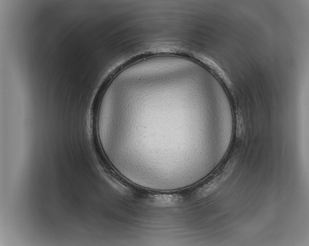 X0000112360439200908271256