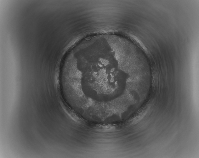 X0000112360443200908271256