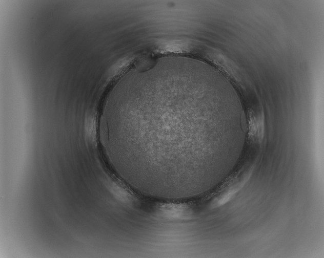 X0000112360444200908271256