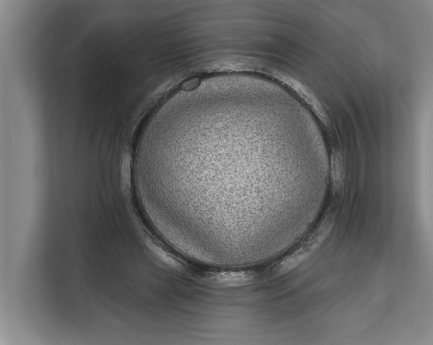 X0000112360445200908271256