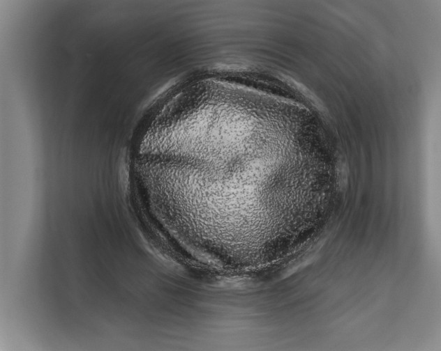 X0000112360446200908271256