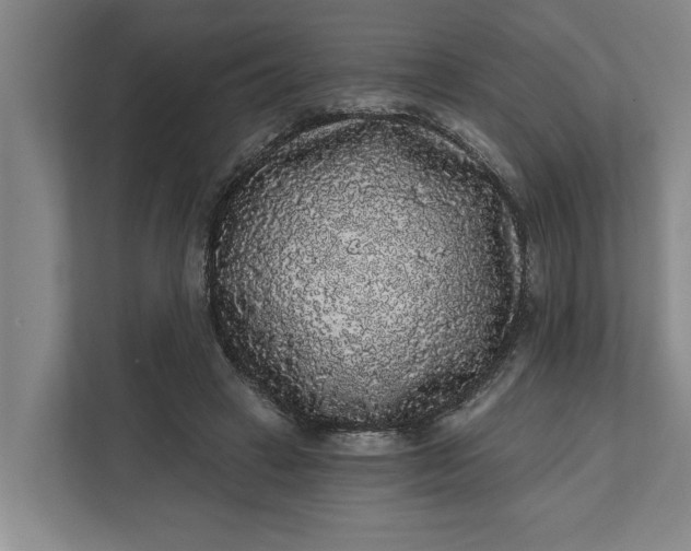 X0000112360449200908271256