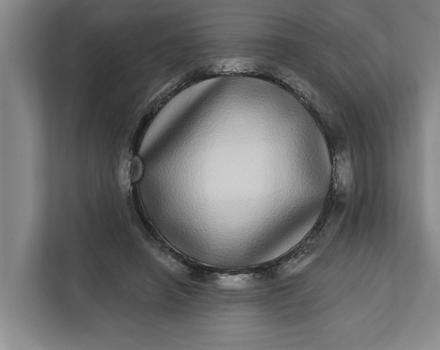 X0000112360450200908271256