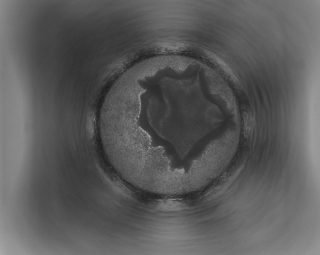 X0000112360451200908271256