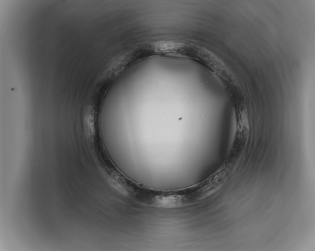 X0000112360452200908271256