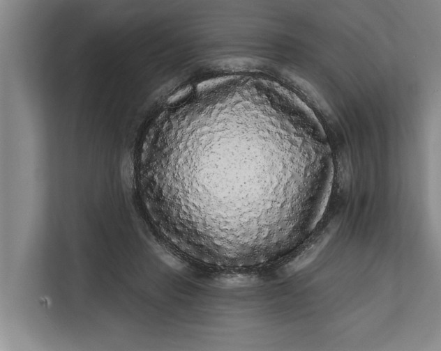 X0000112360453200908271256