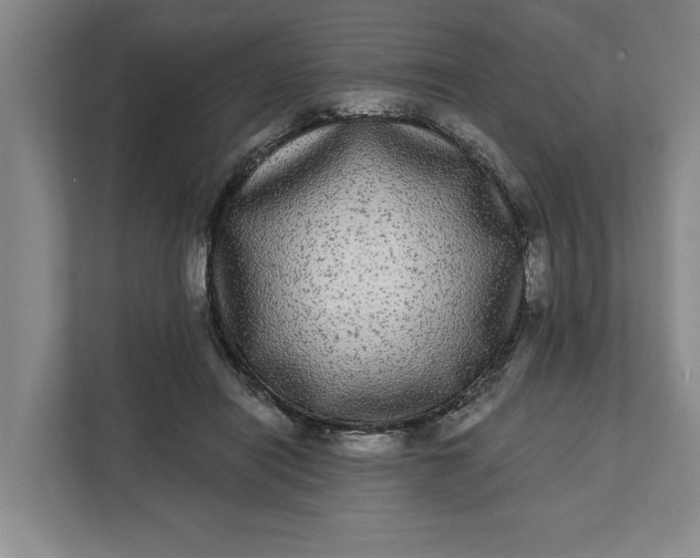 X0000112360454200908271256