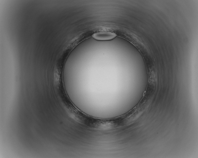 X0000112360456200908271256