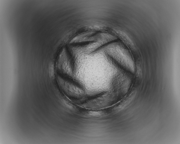 X0000112360457200908271256