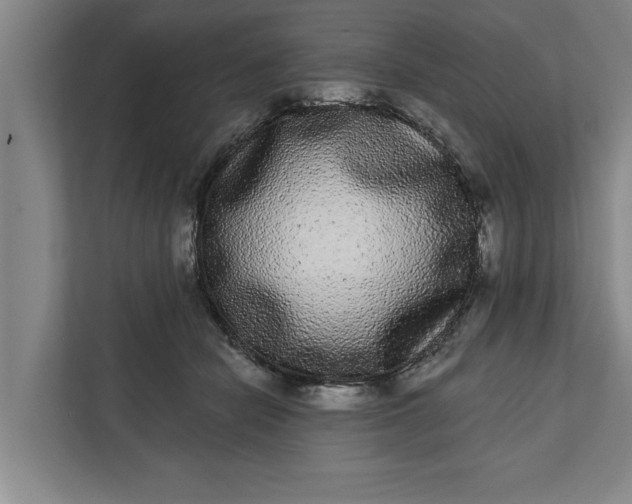 X0000112360462200908271257