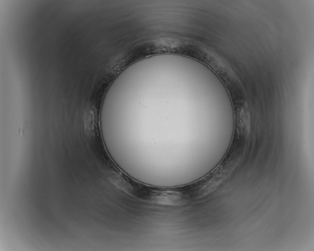 X0000112360463200908271257