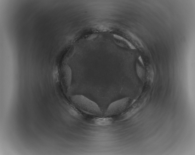 X0000112360465200908271257