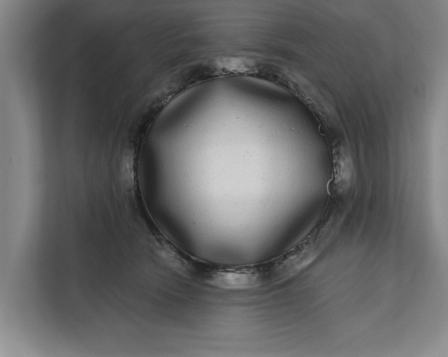 X0000112360466200908271257