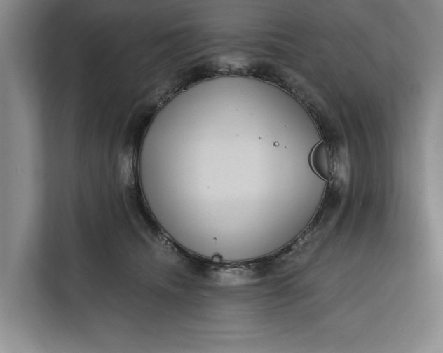 X0000112360468200908271257